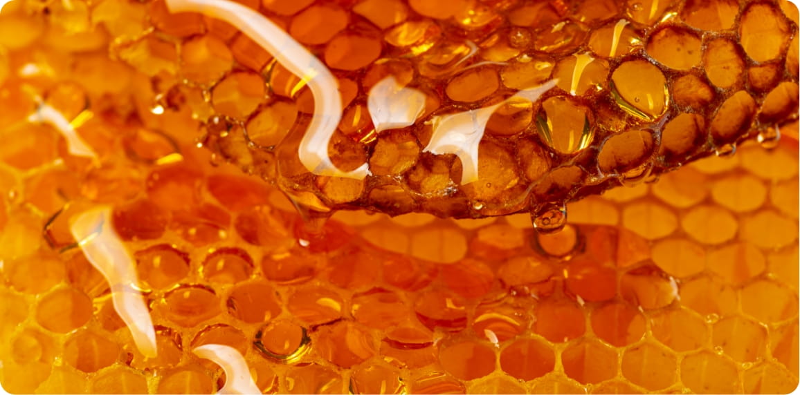 とろぉりハチミツ成分※3